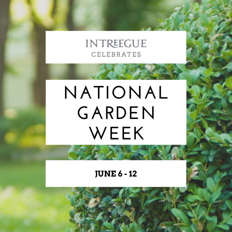 national garden week